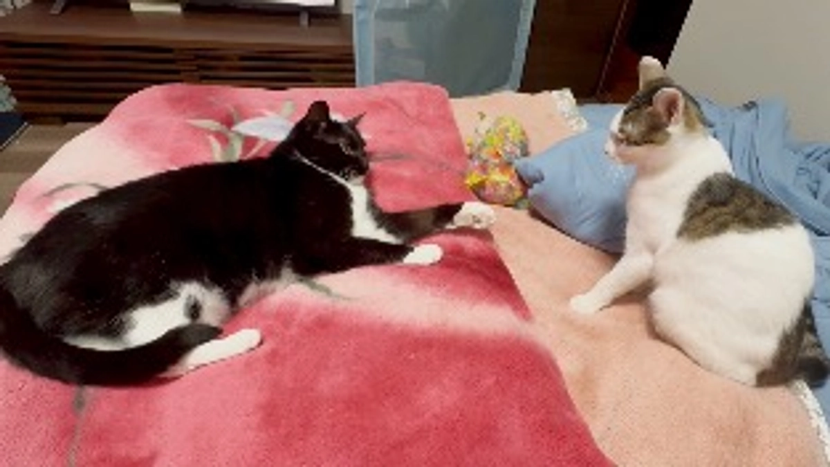 ネクストゴール達成いたしました！