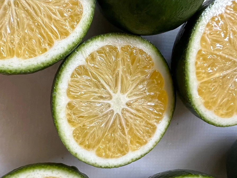 今年も青みかん収穫しました！！