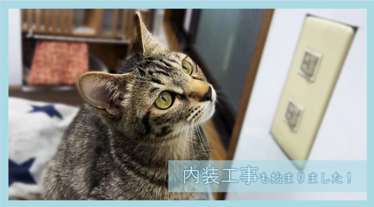 いよいよ修繕工事を伴うリフォーム工事が始まりました！