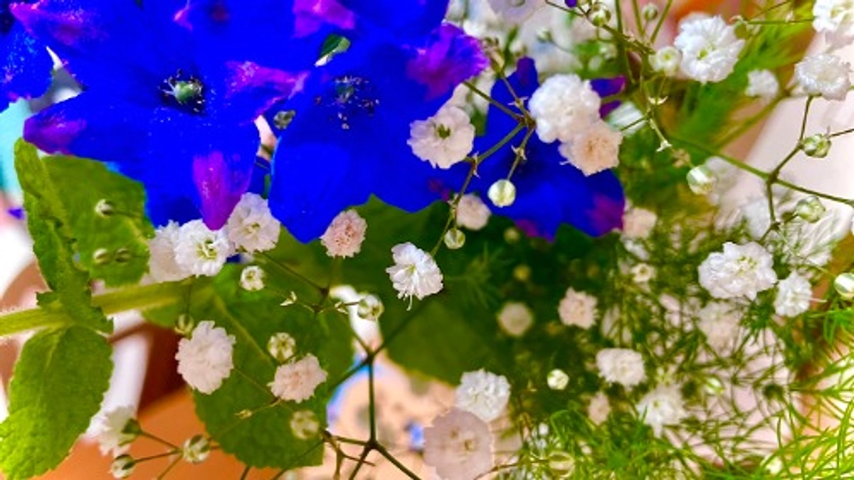 中間報告と誕生日