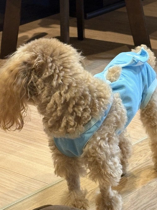 １１月５日のゆむ君