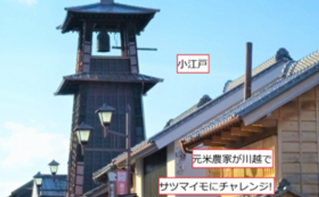 気軽に応援コース