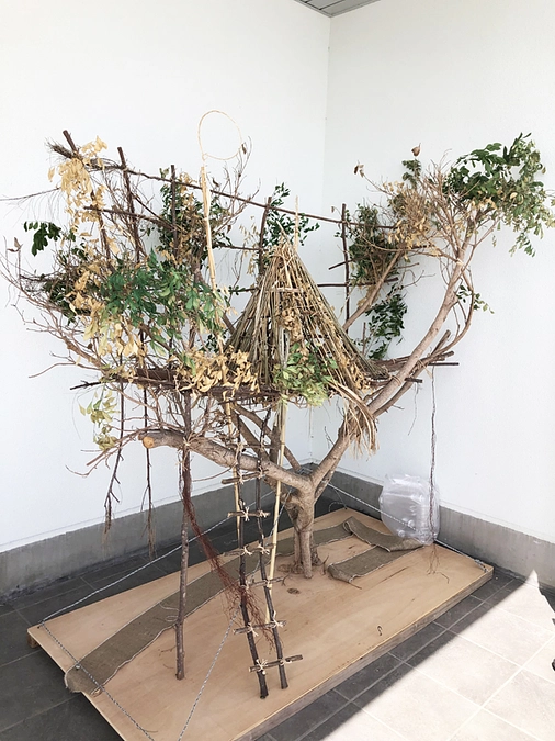 宮古野鳥の会　サシバ保護活動報告