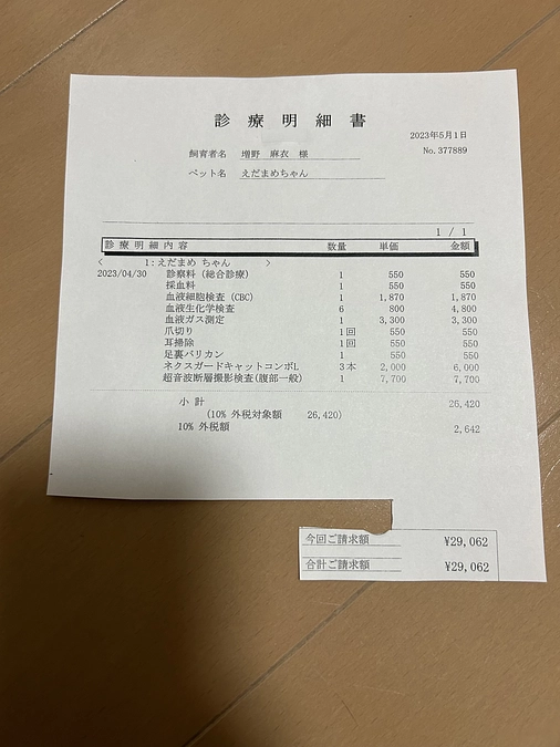 ＊定期検診明細書＊