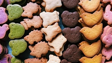 障害者がはたらく、カフェ＆ケーキ・焼菓子作りのお店を立上げたい！ のトップ画像