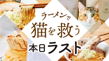 ラーメンの力で猫を助ける「保護猫ラーメンカフェ」を作ります！ のトップ画像