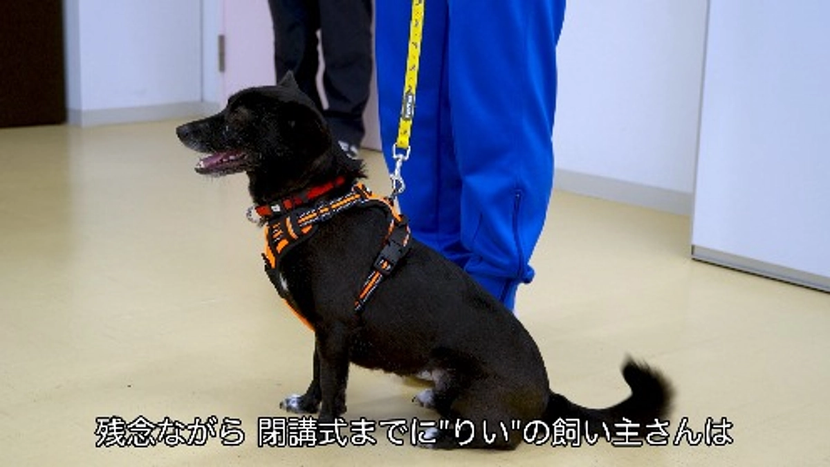 【第一関門30％まであと18万円！！】保護わんと少年院の子どもたち。