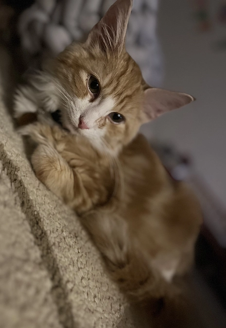 投薬9日目の様子