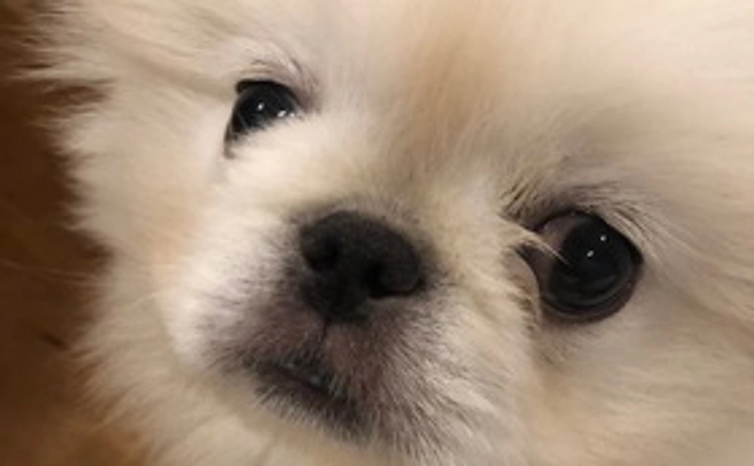 感謝のメール1 ありがとうございます