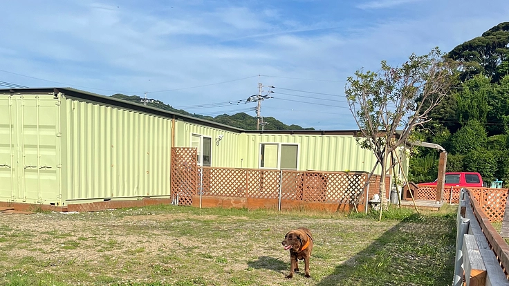 犬猫達の楽園、安心して暮らせる理想のホーム&シェルター設立応援募金