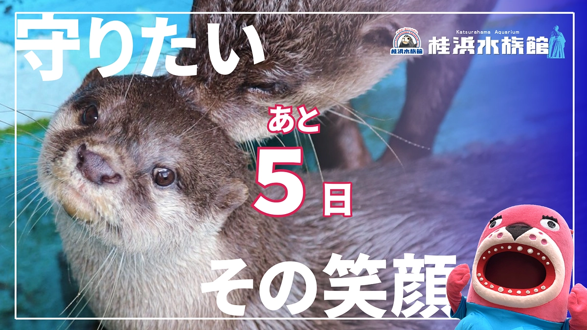 ＼あと5日！／ラストスパートいっしょに楽しんでください！