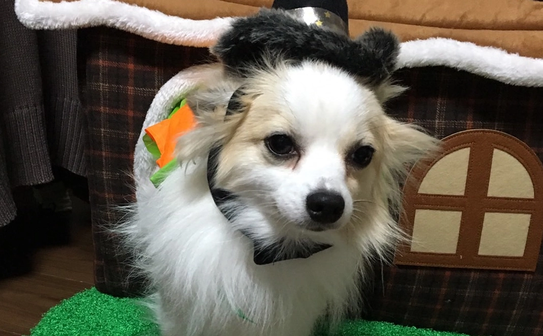 感謝のメール 5