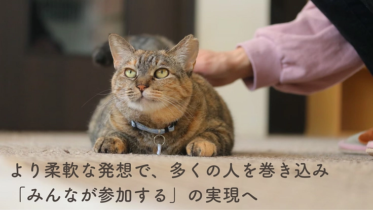 もりねこRe:スタート! 保護ねこ活動の継続と新たなチャレンジへ 6枚目