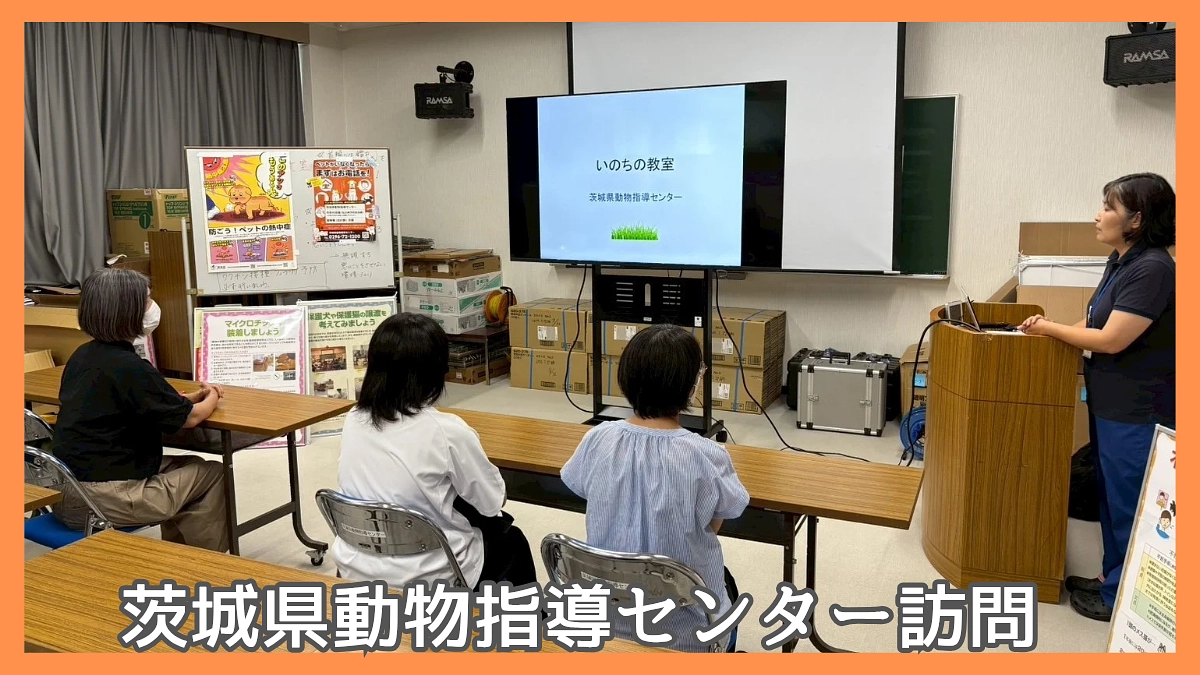 茨城県動物指導センター訪問