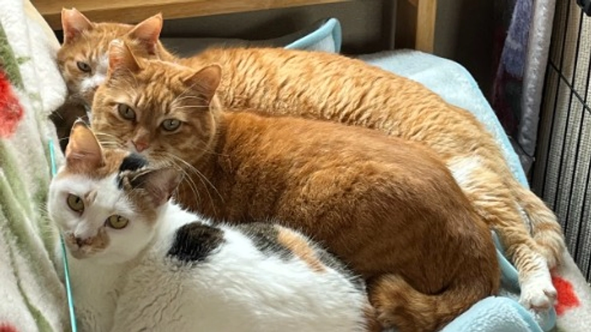 §第一目標達成しました！有難うございました§