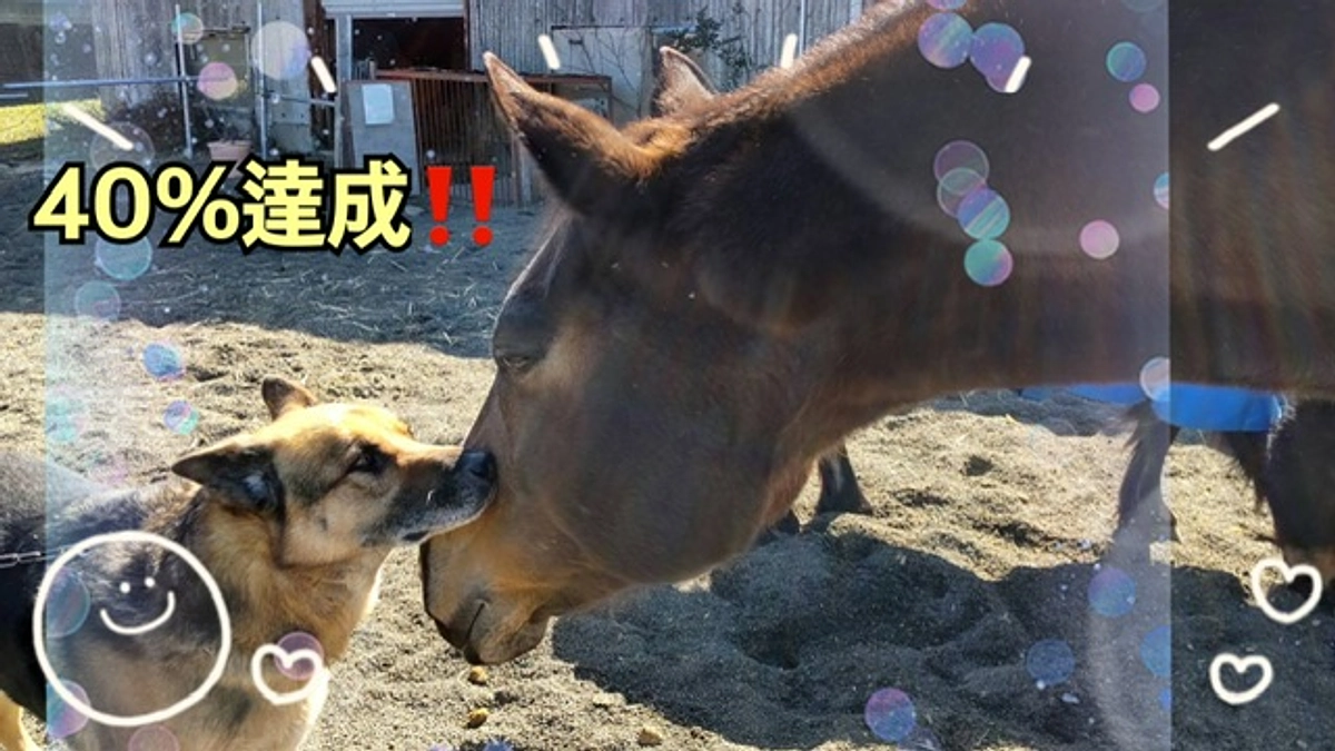 40%達成‼️㊗️🎉