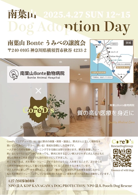 「bonteうみべの譲渡会」のお知らせ