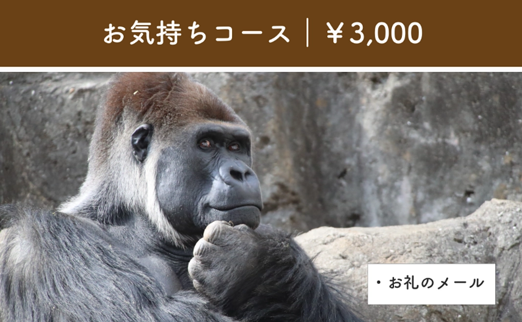 お気持ちコース｜3,000円