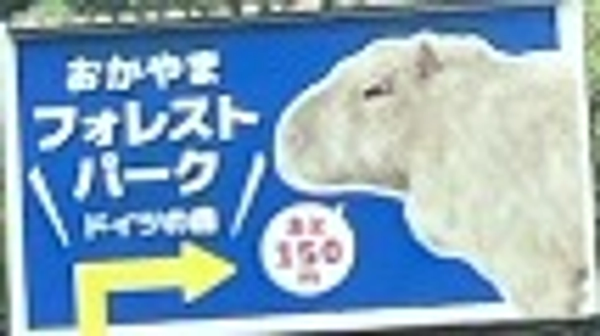 無事イベント終了🥹