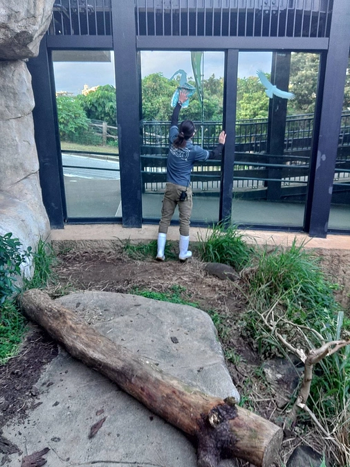 ねぇ！見て！ライオンがいる！