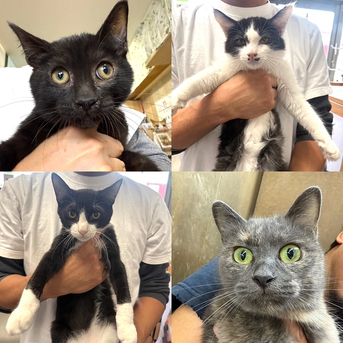 活動報告【2024.11月】