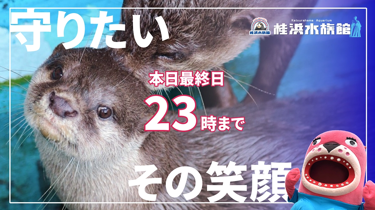 ＼本日最終日です！／