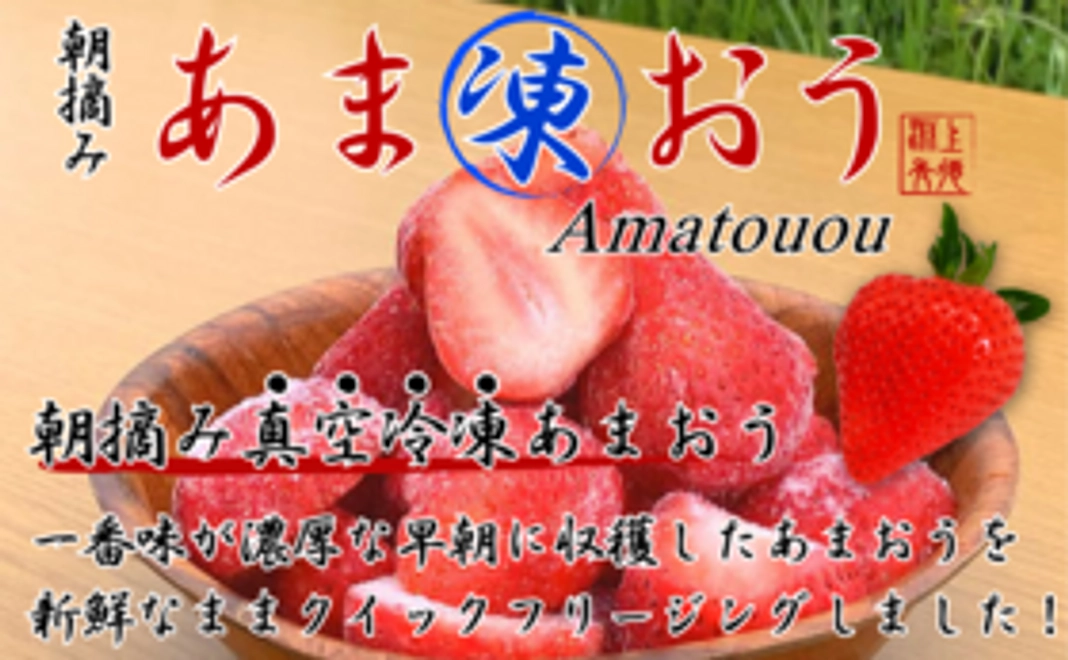 【新鮮冷凍あまおう約300g×3袋】新商品お試し【新鮮なままのあまおう】収穫した日に真空冷凍！好きな時に食べれます♪