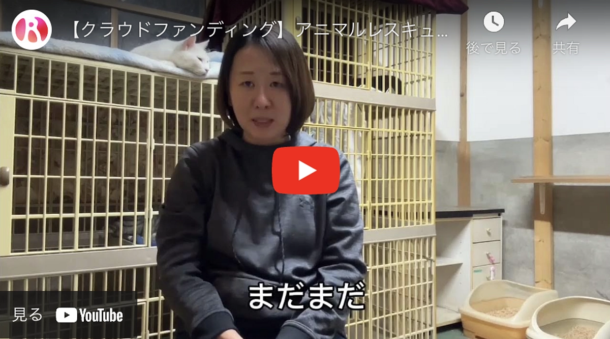 【850万円まであと3万円！】代表山本から皆様へ、感謝のメッセージです！