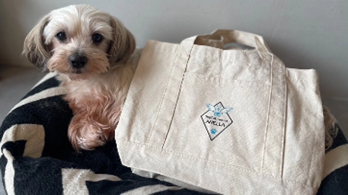 おすすめリターン・オリジナルトートバッグの紹介✨