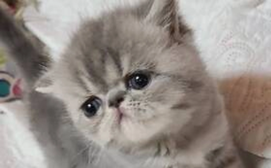 うる応援コース　お礼メール