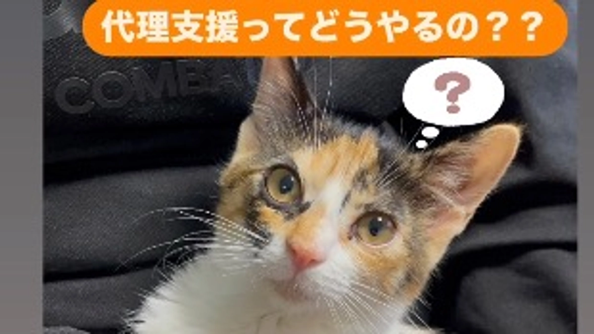 代理支援もおこなっております。