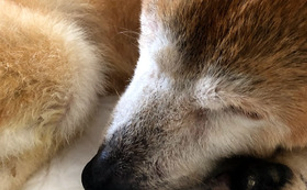 なぎさオリジナルキーホルダー