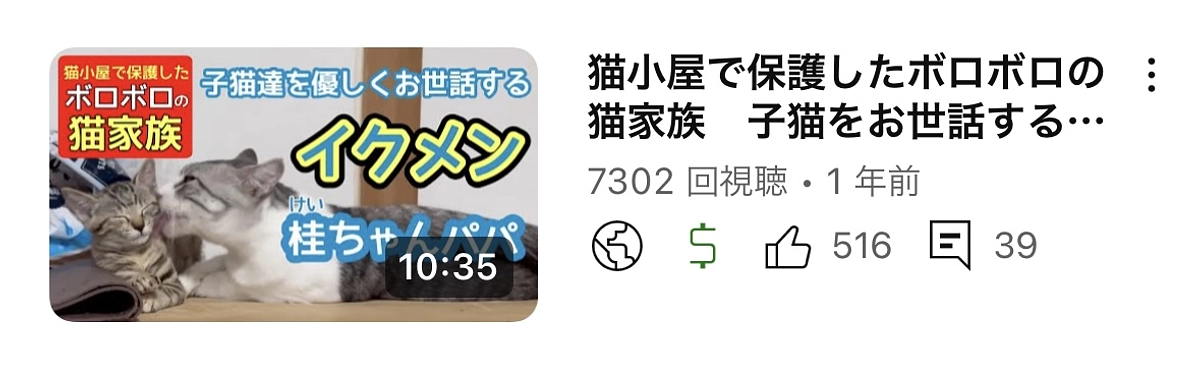 父猫が育児に参加する姿を初めて見ました