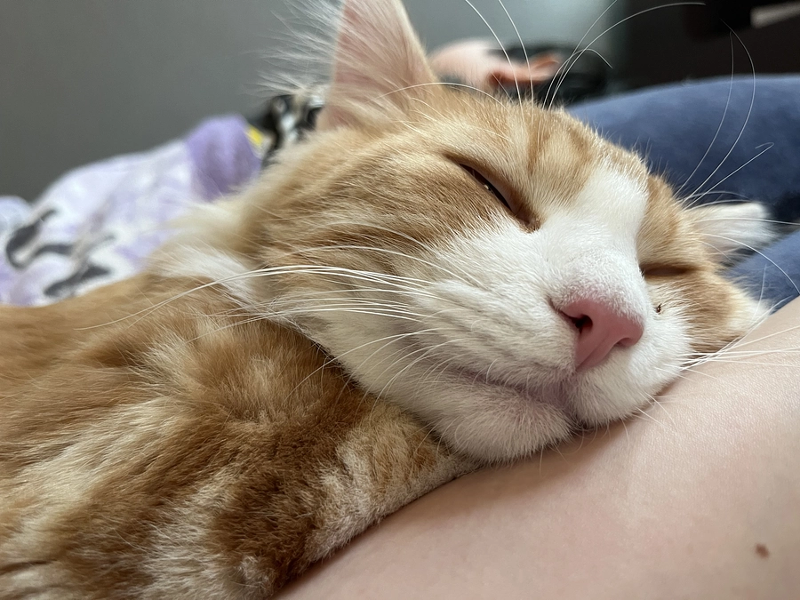 クラウドファンディング達成のお知らせ