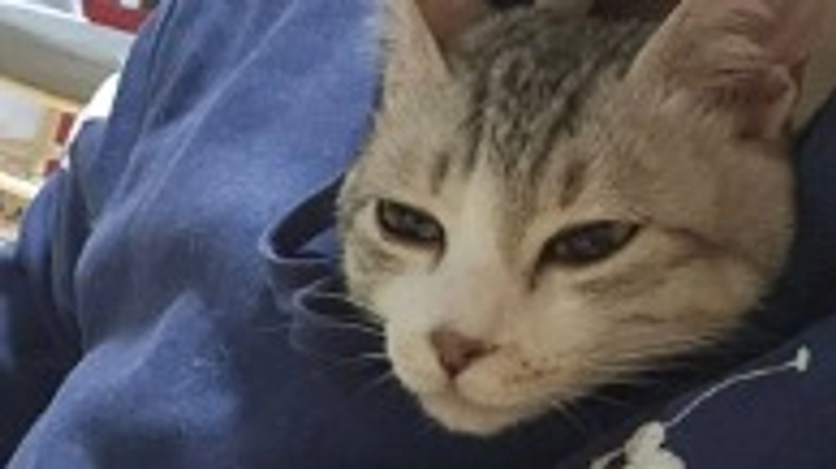 ハレンチ暖房にハマるシャルドネ