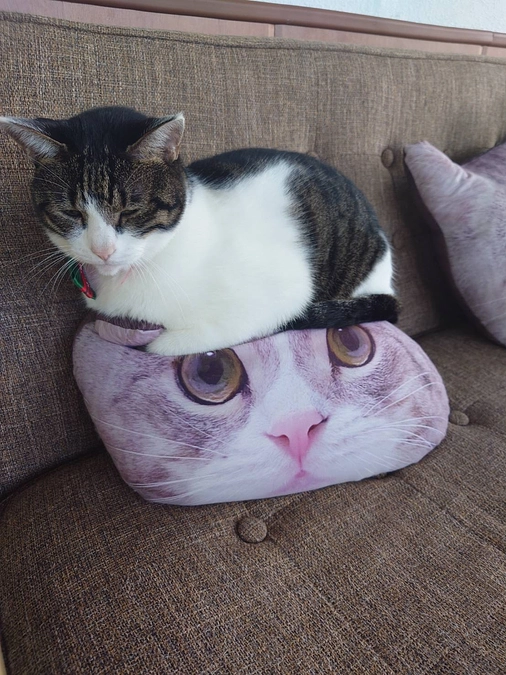 皆様ありがとうございます