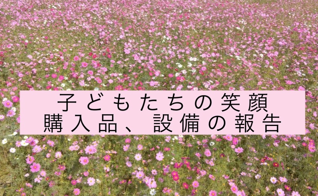 感謝のメールと報告