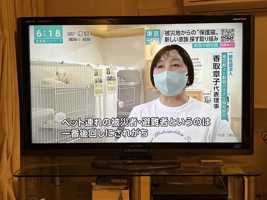 能登半島の被災猫を保護し、医療にかけ、譲渡につなぐ～９月１日より新たにクラウドファンディングに挑戦