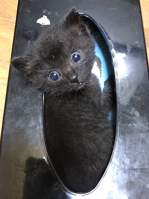 再ネクストゴール達成しました😊