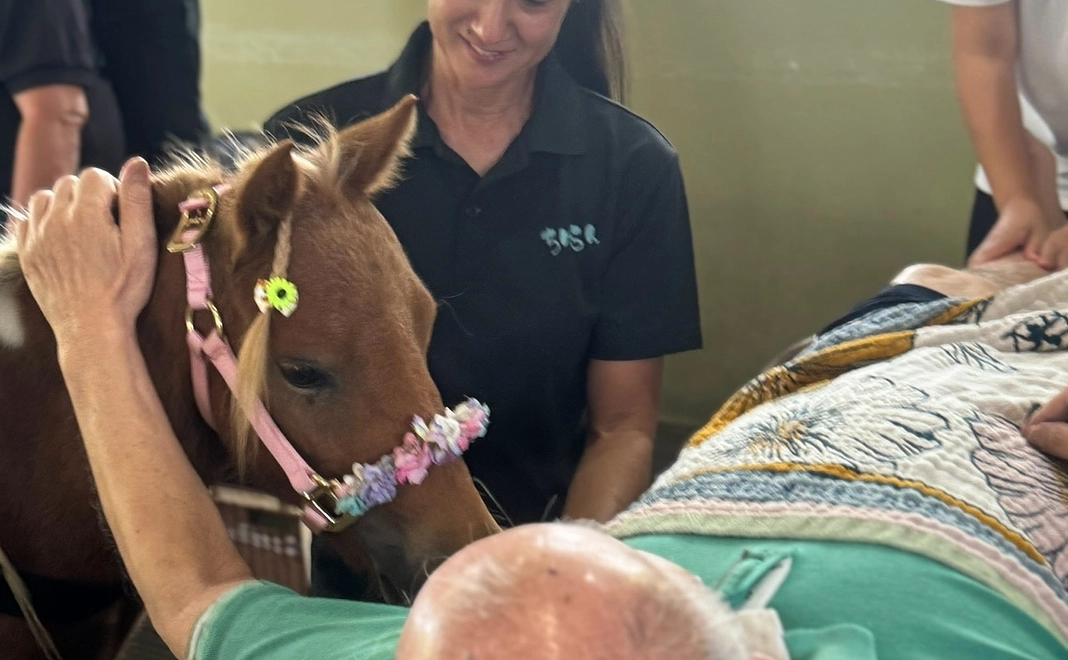 【法人向け】 スポンサー月500,000円コース