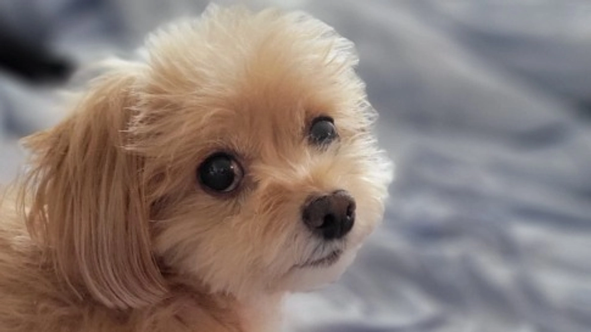 別の薬で経過観察をしていきます。