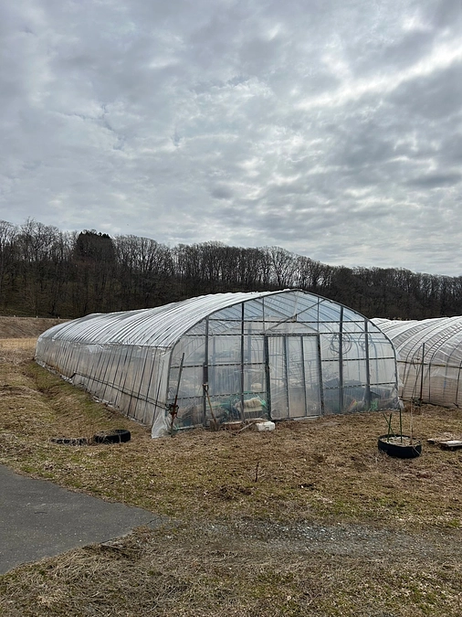 牧柵、厩舎作りの段取りスタート