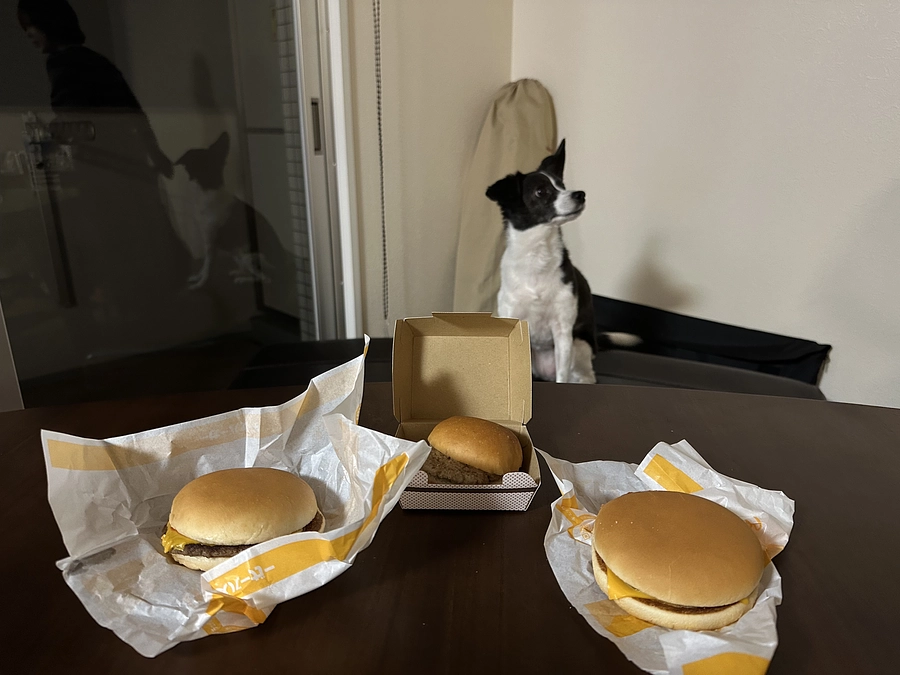 ニコちゃん誕生日