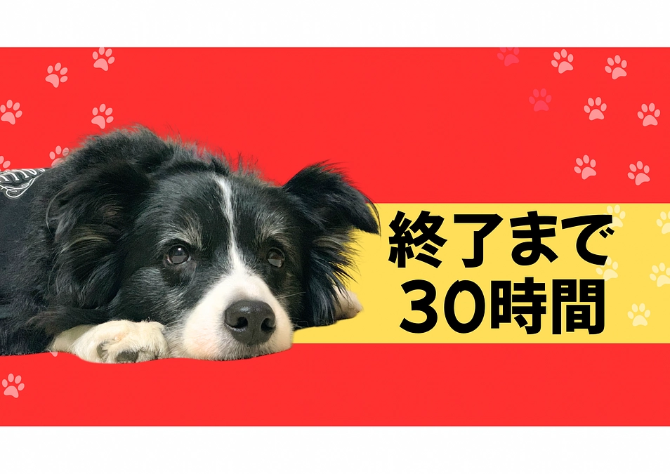 残り30時間少し…