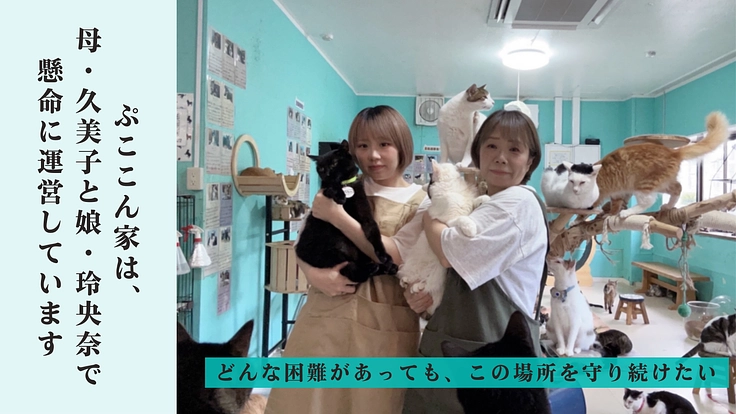 心や体に傷を負い行き場を失った猫たちの『いのち』を最期まで守る為に 6枚目