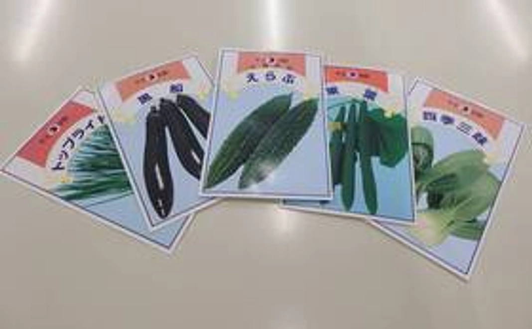 お気持ちコースA