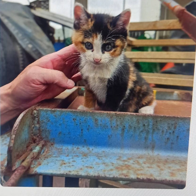 なぜ私たちは、毎日この子たちの命と向き合うのか──それが、希望のはじまりだから