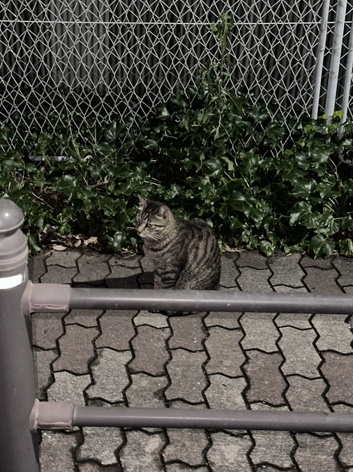 大変ご無沙汰しております。