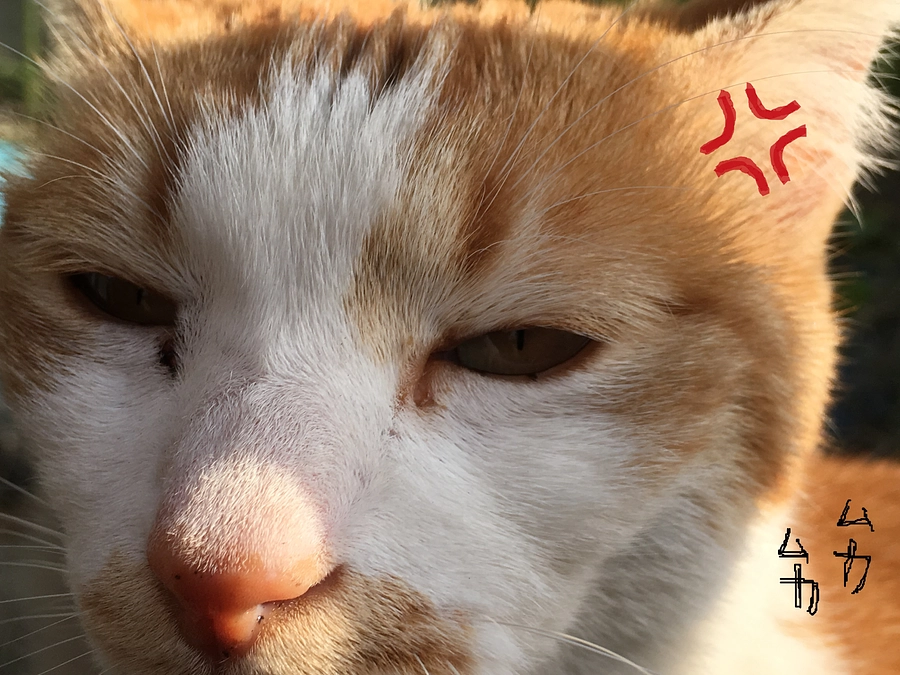 新たな場所より　2023/05/01～05/31のご報告。