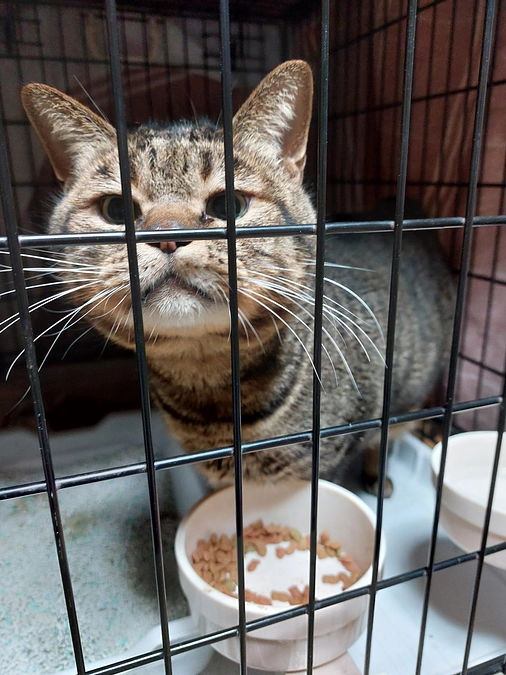 期限が迫ってきてしまいました。引き続きご支援お願いいたします。